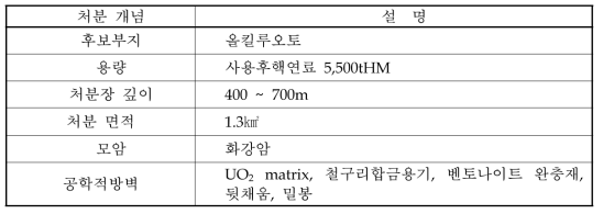 핀란드 처분개념