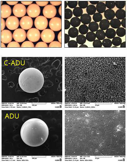 카본함유-ADU gel입자의 모양과 표면특성