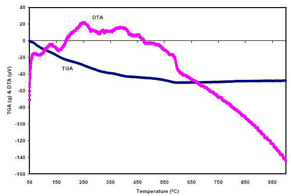 750㎛ 건조 ADU gel입자의 TGA와 DTA 열분해 곡선