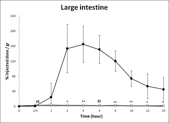 HA-Tm-131I 및 131I을 경구투여 후 시간에 따른 Large Intestine에서 의 radioactivity 변화