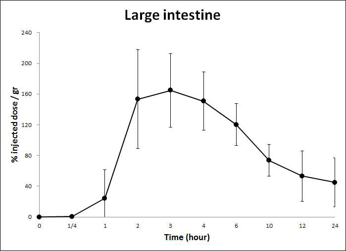 HA-Tm-131I을 경구투여 후 시간에 따른 Large Intestine에서의 radioactivity 변화