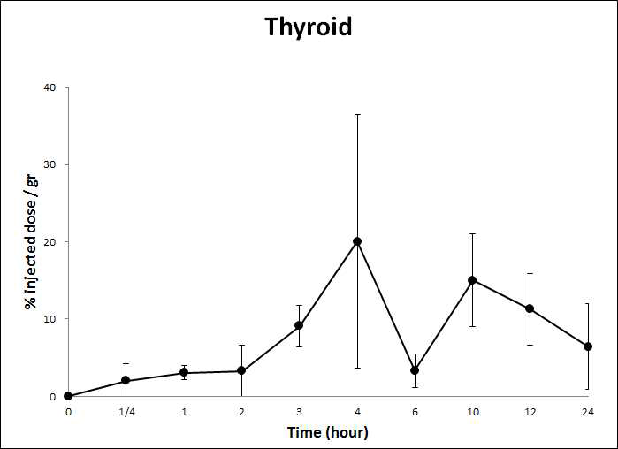 HA-Tm-131I을 경구투여 후 시간에 따른 Thyroid에서의 radioactivity 변화