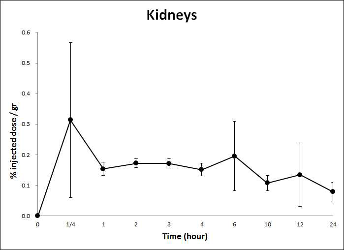 HA-Tm-131I을 경구투여 후 시간에 따른 Kidney에서의 radioactivity 변화