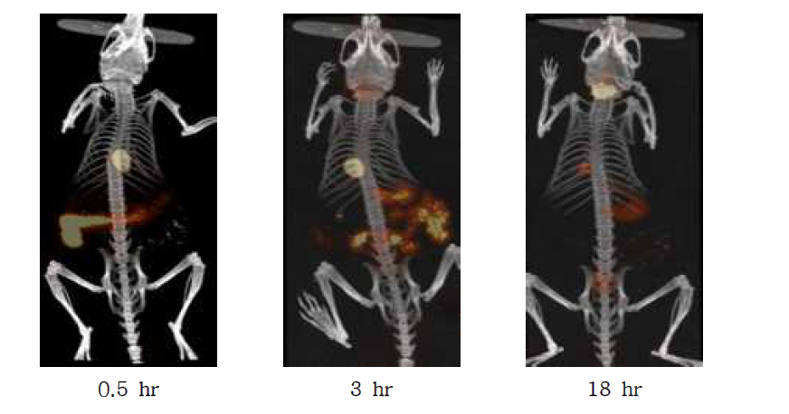 Micro-SPECT/CT images of I-123 labeled rutin in the ICR mouse after injection