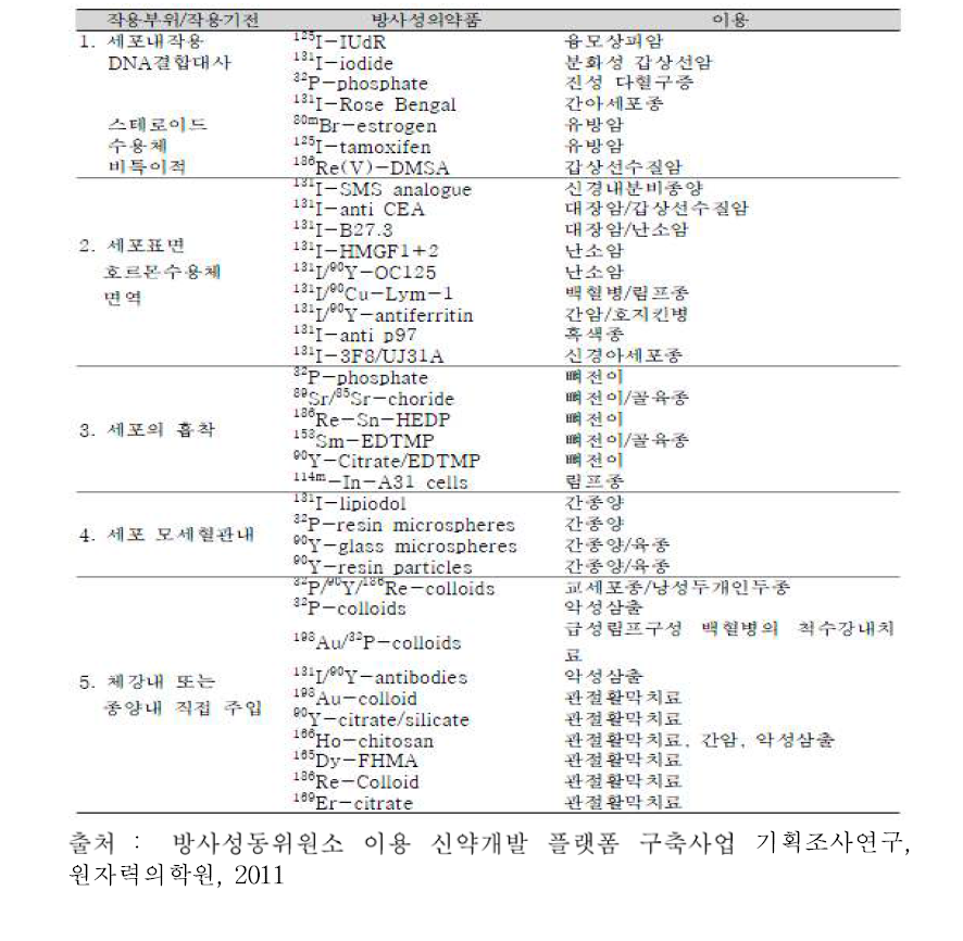 치료용 방사성의약품의 활용