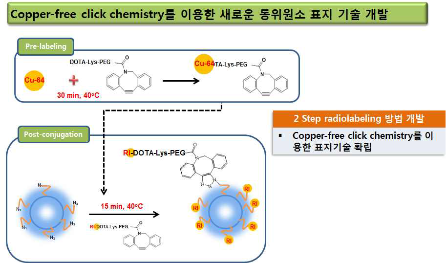 클릭화학을 이용한 신규의 동위원소표지 기술 개발