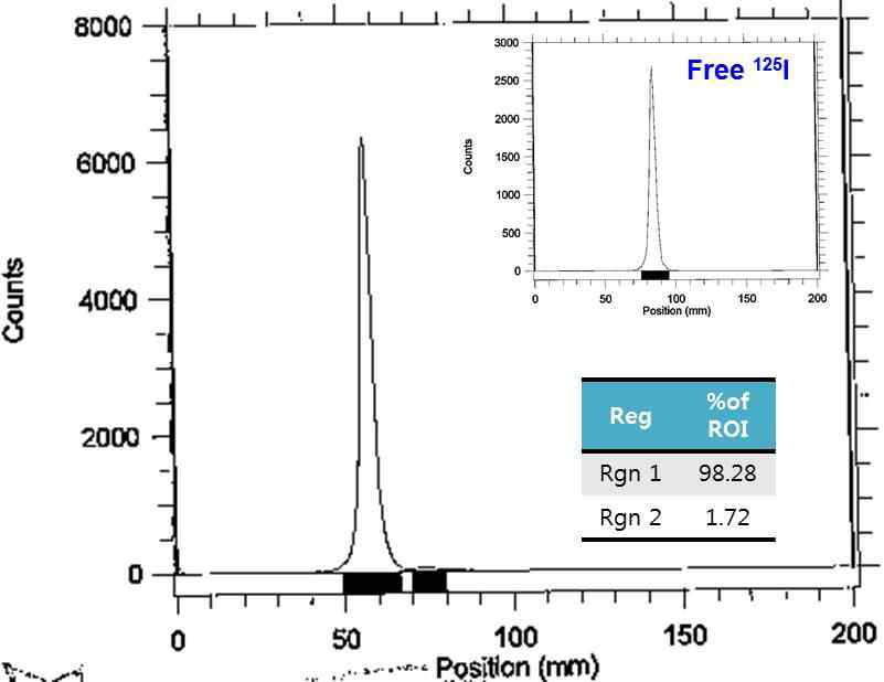 Tm-125I 의 Radio-thin layer chromatogram