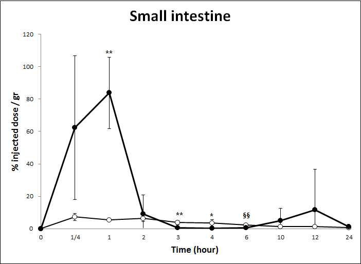 HA-Tm-131I 및 131I을 경구투여 후 시간에 따른 Small Intestine에서 의 radioactivity 변화