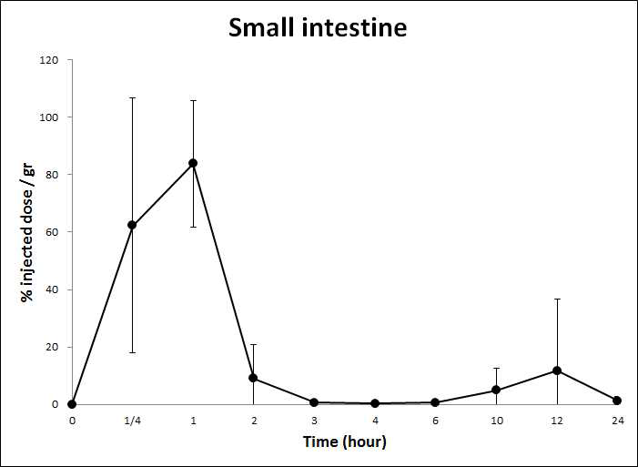 HA-Tm-131I을 경구투여 후 시간에 따른 Small Intestine에서의 radioactivity 변화