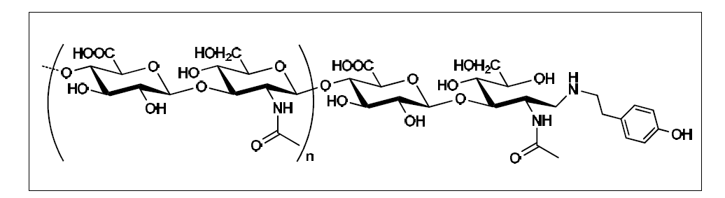 HA-Tm conjugate 의 화학적 구조