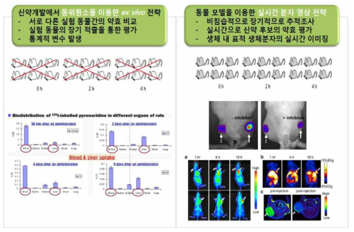 신약개발을 위한 RI-ADME 및 분자영상을 위한 RI-Biomics 기술