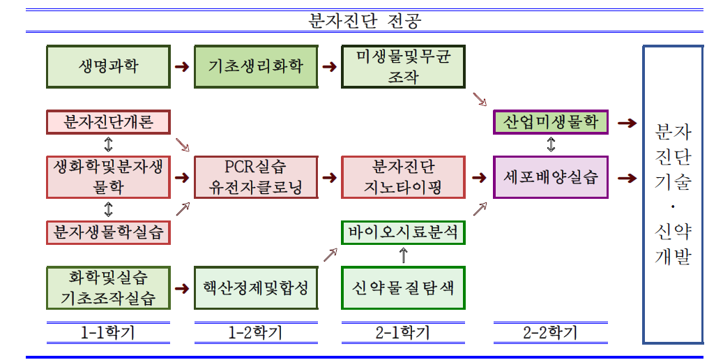 분자진단 전공 커리큘럼