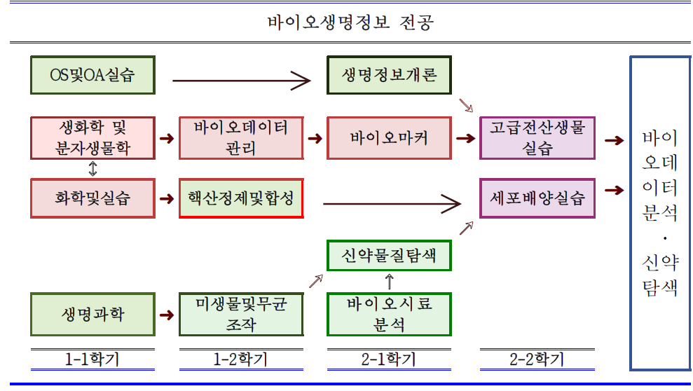 바이오생명정보 전공 커리큘럼