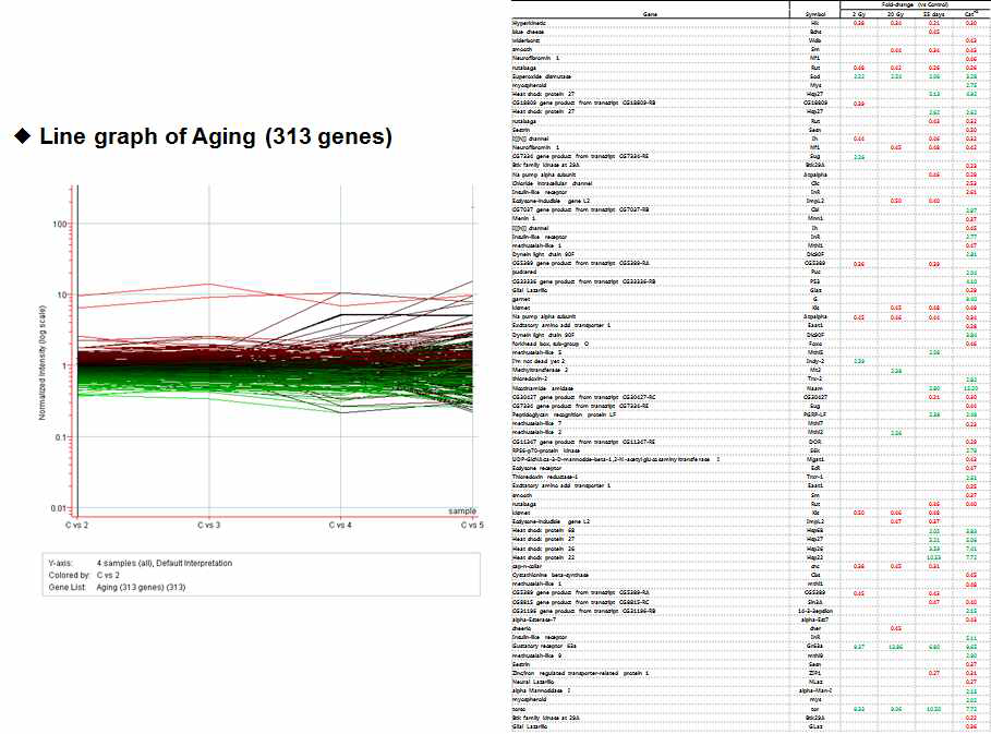 정상조직에서의 방사선에 의해 변화하는 유전자 발현 분석 및 노화, 암화 개체와의 발현 비교 분석: 노화관련 유전자