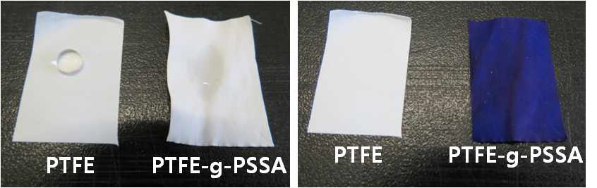 친수화된 다공성 지지체의 젖음성(왼쪽) 및 TBO 염색 실험(오른쪽)