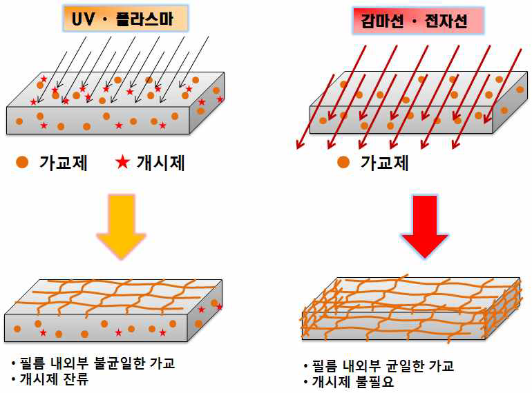 방사선의 높은 투과력과 에너지를 이용한 멤브레인 제조 기술