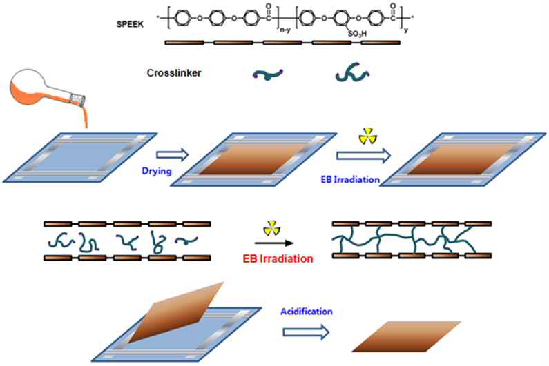 방사선 이용 가교 구조 고분자 전해질 멤브레인 제조 방법