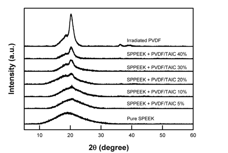 순수한 SPEEK, 조사된 PVDF 그리고 조사된 SPEEK/PVDF/TAIC 멤브레인의 XRD 결과