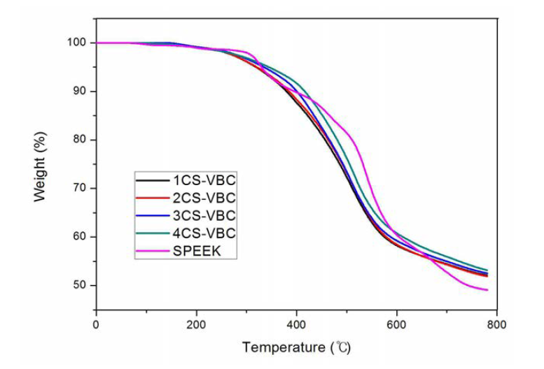 CS-VBC 멤브레인(DS 57%)의 TGA 곡선