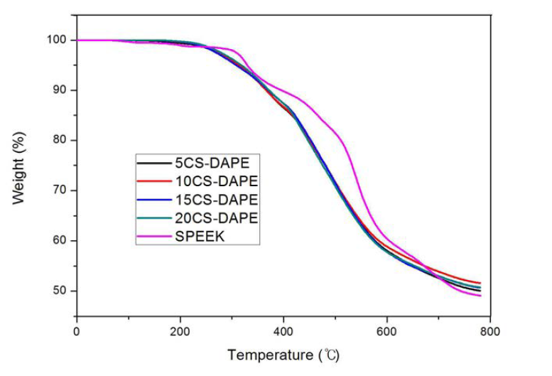 CS-DAPE 멤브레인(DS 60%)의 TGA 곡선