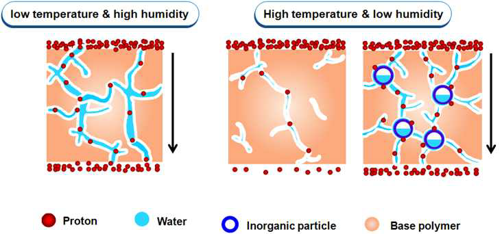저온-고가습 및 고온-저가습 조건의 고분자 전해질 멤브레인의 수소 이온 전달