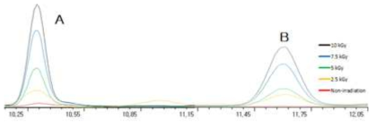 감마선 조사된 삼겹살의 2-dDCB(A)와 2-tDCB(B) GC-MS 분석 크로마토그램