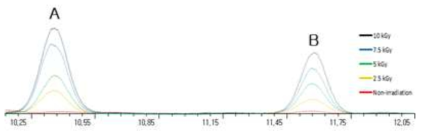 감마선 조사된 등심의 2-dDCB(A)와 2-tDCB(B) GC-MS 분석 크로마토그램