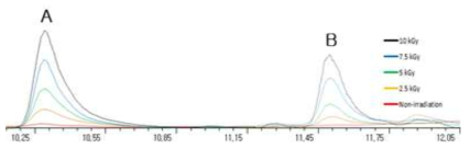 감마선 조사된 계육의 2-dDCB(A)와 2-tDCB(B) GC-MS 분석 크로마토그램