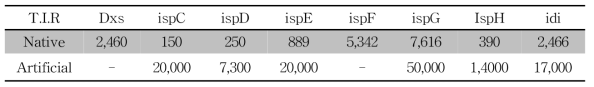 MEP 경로 유전자의 야생형과 인위적으로 조절된 translation initiation rate