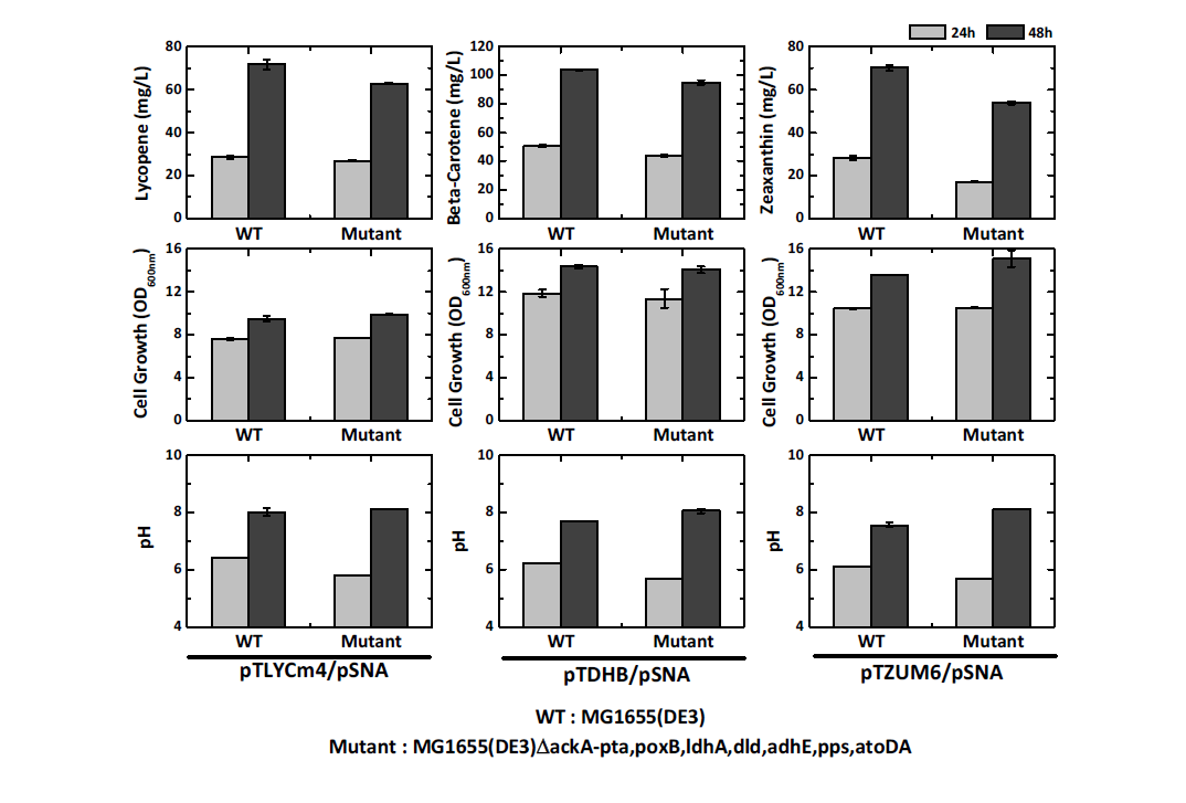 야생형 균주와 결손균주의 라이코펜, 베타-카로틴, 지아잔틴 생산성