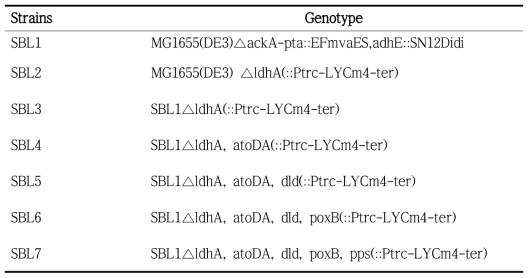 Integration strains of Lyopene biosynthesis