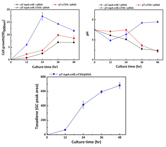 pSNA와 더불어 각각 pT-ispA-crtE-sTXS, pT-sTXS, pT-ispA-crtE로 형질전환된 대장균에서의 택사디엔 생산 비교