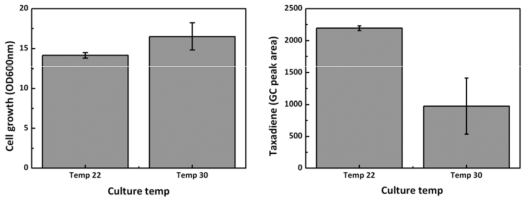 배양 온도에 따른 균체 생장과 택사디엔 생산량 비교