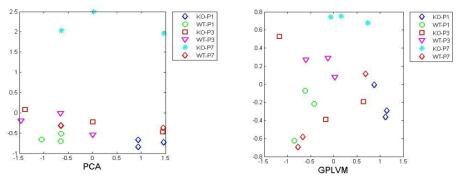 PKD1 마우스 모델 데이터를 기반으로 한 PCA 분석과 GPLVM 분석의 비교