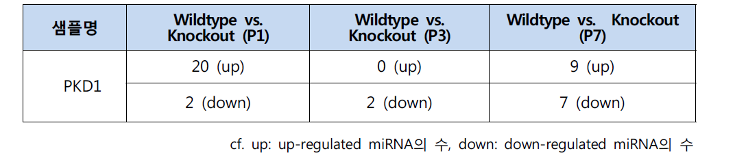 분석 pipeline(p-value1.5)에 따라 선별된 PKD1 관련 miRNA의 수