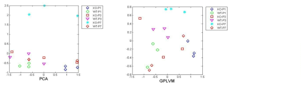mUQCRB 세포주 모델 데이터를 기반으로 한 PCA 분석과 GPLVM 분석의 비교
