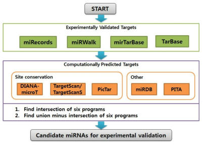 miRNA 타겟 유전자 예측을 위한 파이프라인