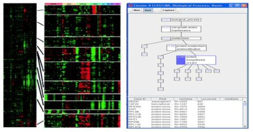 Gene ontology 정보 매핑 소프트웨어