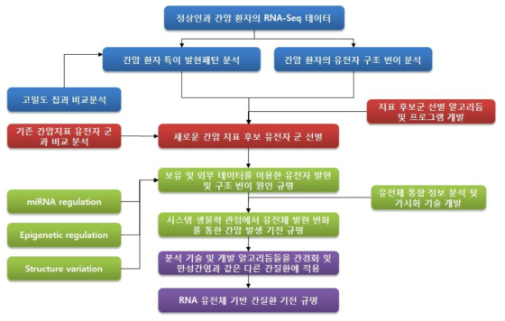 전체 연구개발 추진 체계