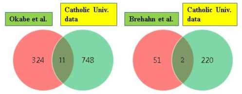 Okabe et al.과 Brehahn et al.에서 발표한 논문의 결과와 본 연구기관 유의 발현 유전자 비교