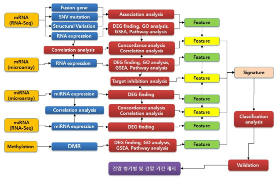 간암 기전 규명을 위한 분석 알고리즘 흐름도