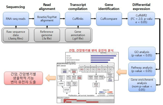 전사체 발현을 측정하는 분석 프로그램의 흐름도