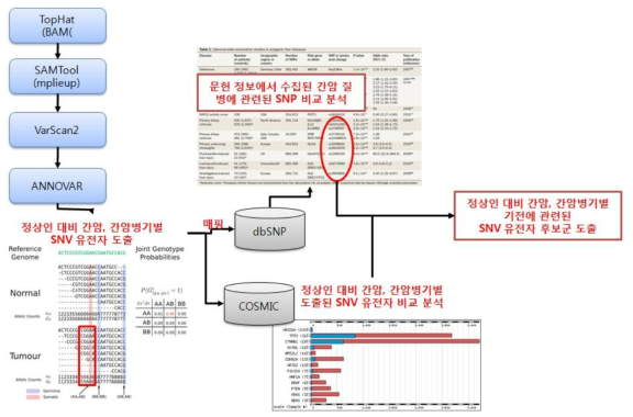 단기염기서열변이 분석 프로그램의 흐름도