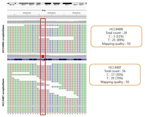 단일 염기서열 변이 측정 방법을 통한 RNA-editing 확인 결과