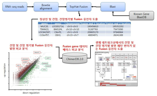 융합 유전자를 측정하는 분석 프로그램의 흐름도