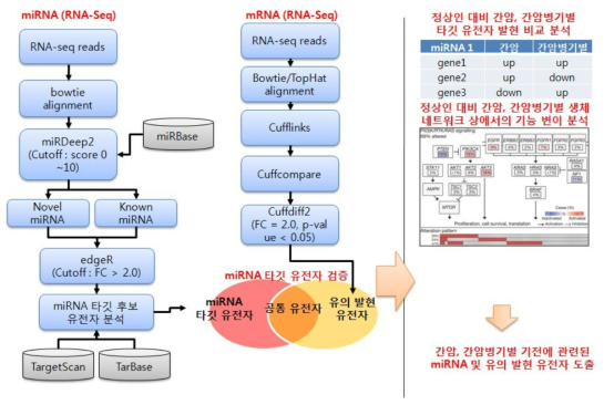 non-coding RNA를 측정하는 분석 프로그램의 흐름도