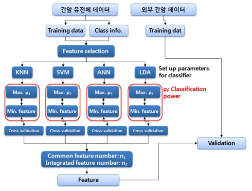 간암 후보 지표 도출을 위한 판별 분석 프로그램의 흐름도