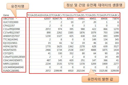 정상 및 간암 환자에서 유래된 유전체 데이터의 유전자 발현 값