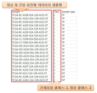 정상 및 간암 환자의 샘플명에 대한 클래스 정의