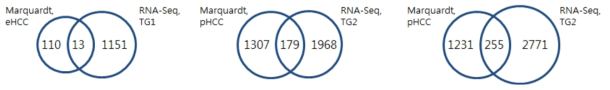 Marquardt et al. 연구팀의 RNA-seq data와 유의발현 유전자 비교